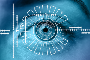 An iris biometric scan